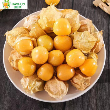 甄选品质当季新鲜姑娘果灯笼果洋姑娘新鲜水果姑娘果带箱3斤小豆果