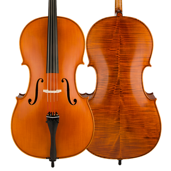 大提琴哪个品牌性价比高（大提琴什么牌子便宜又好用）