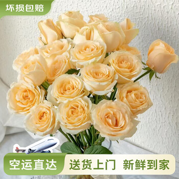云南 鲜花批发 玫瑰百合鲜切花 10枝 香槟色