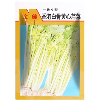 芹菜种子四季小香芹种孑阳台盆栽易种蔬菜种籽家庭菜园山芹西芹种籽水芹菜香港白骨芹10克 图片价格品牌报价 京东