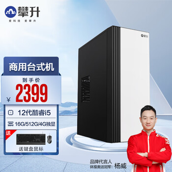 攀升睿龙 12代酷睿i5 12400/13400商用家用办公设计师游戏台式机电脑主机整机全套 配置六 i5+16G+512G+4G独显 WiFi |
