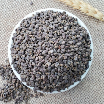 中药材苘麻子500g苘实空麻子野苎麻子冬葵子青麻子白麻子