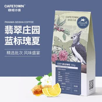 咖啡小镇巴拿马翡翠庄园蓝标瑰夏咖啡豆新鲜手冲单品可代磨粉100g 图片价格品牌报价 京东