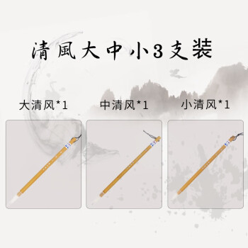 抢先预测趋势!本月价格走势分析指南