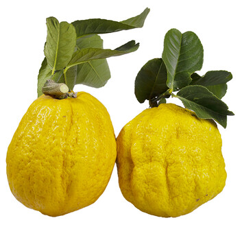 fghgh  云南香橼果 大果 新鲜佛手柑 农家香园 清供果 3斤(优选)