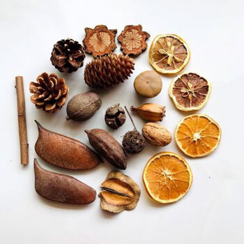 森林教育瑞吉欧华德福蒙氏自然物开放性材料植物角感官材料户外 如图