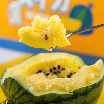 京舰 现货冰淇淋黄肉西瓜特小凤新鲜水果黄瓤瓜2只小皮薄多汁