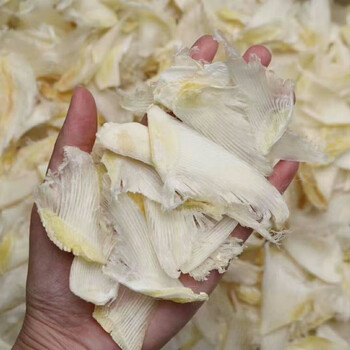 干货鱼翅仔普通鱼翅干货无沙海味滋补煲汤高营养日常美食煲汤 500克