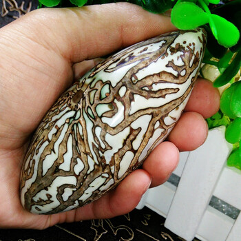 绾慕 菩提果千眼菩提大果胖果千眼菩提子成品文玩手把件绿果白果饰品