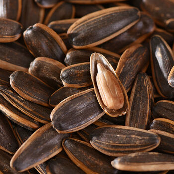 晶妈2021年大瓜子新货炒货焦糖瓜子五香原味干炒瓜子葵花籽休闲零食