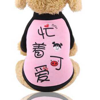狗狗猫咪衣服秋冬装泰迪宠物小型犬柯基法斗比熊猫猫幼犬加绒忙着可爱