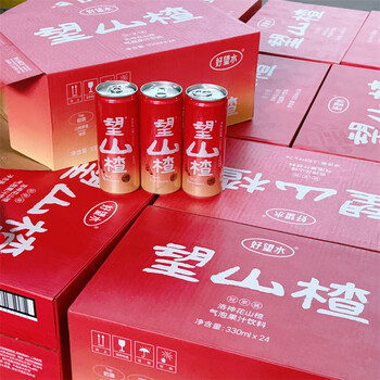 隽辰堂好望水望山楂山楂气泡果汁饮料300ml4瓶易拉罐听装网红饮品12瓶