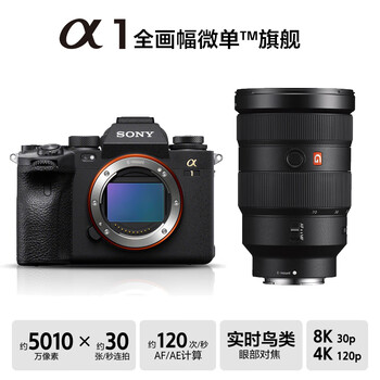 索尼（SONY）Alpha 1全画幅旗舰微单相机 8K视频（ILCE-1/a1）单机身+索尼（SONY）FE 24-70mm F2.8 GM 二代