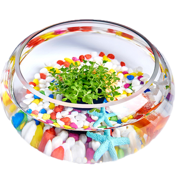 宝贝故事小鱼缸好不好优缺点实情？良心评测