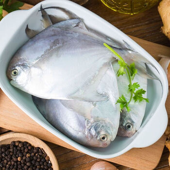 鲜太公 新鲜鲳鱼海捕银鲳鱼海鲜捕捞平鱼白鲳鱼 3斤装鲳鱼