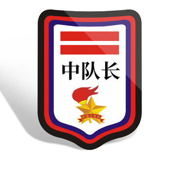 少先队标志少先队干部标小学生臂章袖章中队长队牌子二道杠袖标班干部