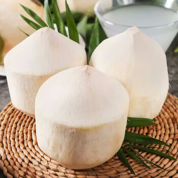 枫小七海南文昌椰青去皮椰子新鲜当季牛奶椰应季热带水果去皮椰青9个