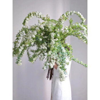 七抒小手球绣线菊飘雪鲜切花白色鲜花速递家用瓶插花艺小手球9小手球