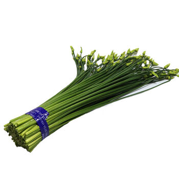 晨臻山东新鲜韭苔鲜嫩韭菜苔韭菜花寿光蔬菜韭苔菜农