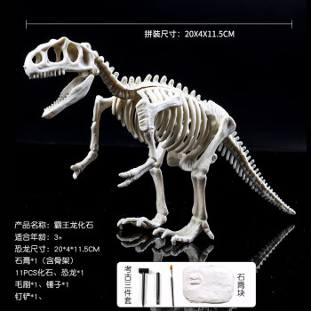 恐龙化石考古挖掘寻宝玩具合集