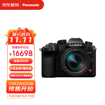 松下（Panasonic）GH6L微单相机 数码相机 vlog相机 4K视频 5轴防抖 2520万像素