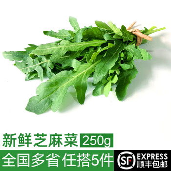 绿食者 新鲜芝麻菜250g 德国芥菜火箭菜 新鲜蔬菜西餐沙拉健康轻食食材