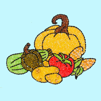 秋天秋日丰收 五谷杂粮画手工diy材料包小学生种子豆豆画团建活动