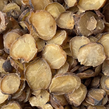 盐附子淡附片蒸附片熟附片手捡大片野生正品四川江油中药批发250g