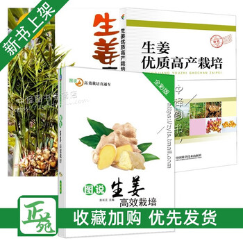 套装3册 图说生姜高效栽培 生姜优质高产栽培 生姜高产栽培生姜栽培种植技术大全书籍高产优质生姜 摘要书评试读 京东图书