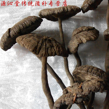 深山黑芝黑灵芝乌芝皱盖假芝可切灵芝片泡酒料 野生香血灵芝250克