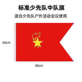 南山驹 办公 中国少年先锋队标准少先队队旗大队旗中队旗小队旗