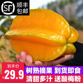 李享食丰福建漳州甜杨桃五角星杨桃新西当季新鲜酸甜热带孕妇宝宝杨桃水果 5斤装