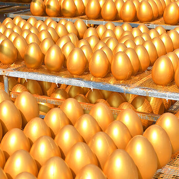 泰瑞格金蛋抽奖幸运奖砸金鸡蛋道具活动金蛋彩蛋金花四溅黄色金布15米