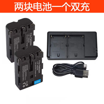 沙图（VSARTERO）适用NP-FM500H电池适用索尼A57 A58 A65A350 A560 二电池一双充电器