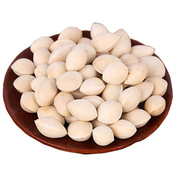 新鲜生白果百果大颗粒银杏果带壳手工挑选无漂白生银杏果1斤