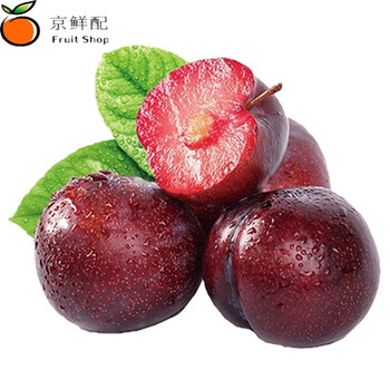 夜玫瑰李子红肉恐龙蛋血丝李情人李子新鲜水果6个