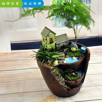 创意苔藓微景观生态瓶龙猫盆栽桌面办公室diy室绿植室内小植物深谷垂钓 全套送工具 图片价格品牌报价 京东