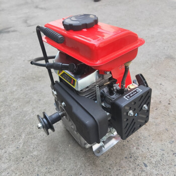 丹斯提尼打药机动力 小型四冲程汽油机发动机重庆汽油机152f打谷机