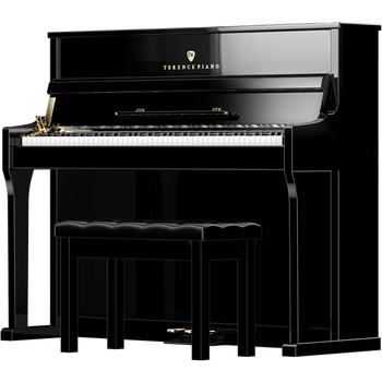 特伦斯电钢琴怎么样（特伦斯电钢琴用来看真相）