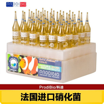 🤑💰最新价格走势:惊人连涨,购买即享优惠!