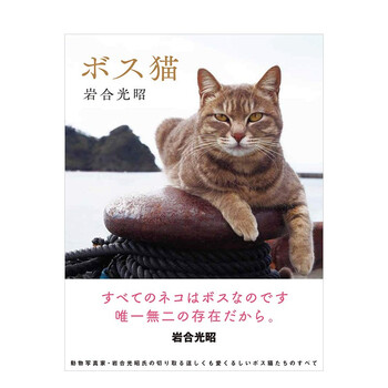 现货 猫大王ボス猫知名动物摄影师岩合光昭日本原版进口摄影写真集宠物动物喵咪善本图书 摘要书评试读 京东图书 现货 猫大王ボス猫知名动物摄影师岩合光昭日本原版进口摄影写真集宠物动物喵咪善本图书 摘要书评试读 京东图书