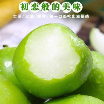 福建牛奶枣大青枣脆甜大青枣蜜枣台湾牛奶枣脆蜜枣新鲜水果带箱5斤中