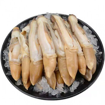 流连湾新鲜冷冻大个蛏王肉大竹蛏肉现剥竹节蛏大蛏子肉海鲜无冰衣速冻