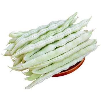 山东芸豆新鲜豆角四季豆白不老蔬菜小镇现摘现发白芸豆九粒白批发 2斤