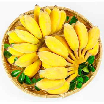 nanguoxiansheng 广西小米蕉 香蕉 西贡蕉 帝王蕉 生鲜水果 4.5-5斤