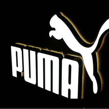 藏狐 企事业机关单位金融系统树脂发光字 白光树脂 暖光树脂