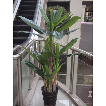 星派果仿真植物仿真装饰假树4叉2米2高芭蕉树大型落地盆景假绿植1米8