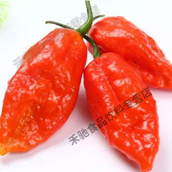 新鲜涮涮辣正宗印度魔鬼辣椒辣超变态特辣象鼻断魂新鲜 半斤250克