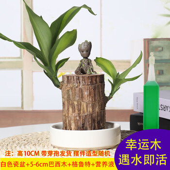 今日带货：京东好价+天猫小吃