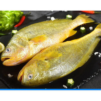 青樱红荔大黄花鱼新鲜大黄鱼深海黄花鱼深海鱼海鲜水产5斤装4条装